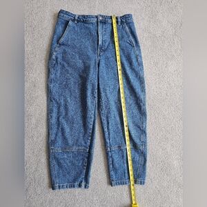 EUC Everlane Barrel Leg Jeans